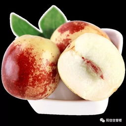 二樓超市黃驊冬棗品鑒展示會(huì)